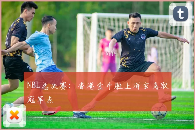 NBL总决赛：香港金牛胜上海玄鸟取冠军点