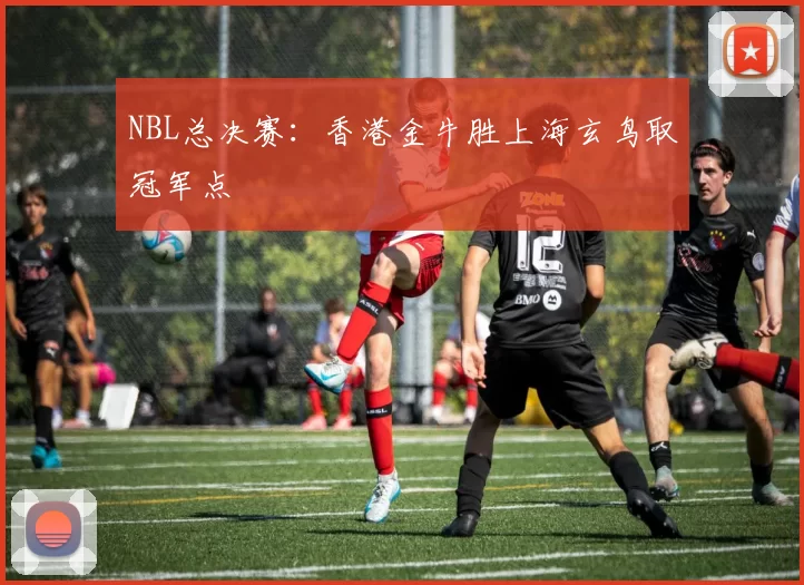 NBL总决赛：香港金牛胜上海玄鸟取冠军点