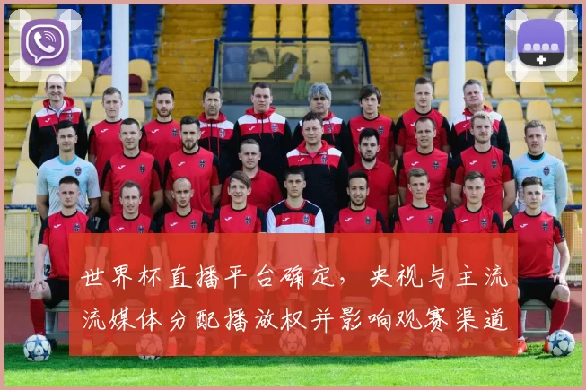 世界杯直播平台确定，央视与主流流媒体分配播放权并影响观赛渠道